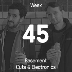 Week 45 / 2014 - Basement Cuts & Electronics