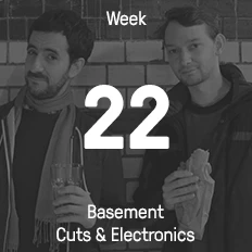 Week 22 / 2015 - Basement Cuts & Electronics