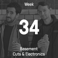 Week 34 / 2015 - Basement Cuts & Electronics