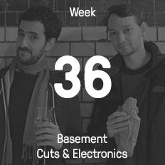 Week 36 / 2015 - Basement Cuts & Electronics