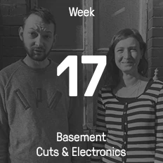 Week 17 / 2016 - Basement Cuts & Electronics