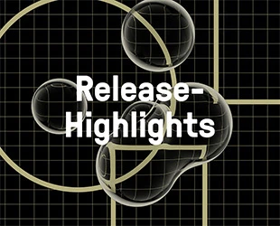 Release-Highlights 2024