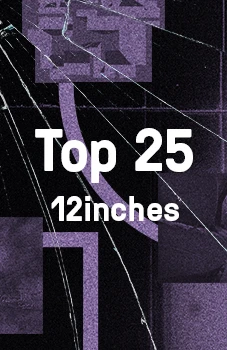 Top 25 12inches