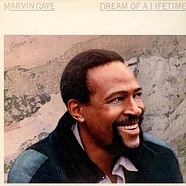 Marvin Gaye - Dream Of A Lifetime