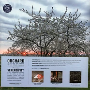 Orchard (Aidan Baker, Gaspar Claus, Franck Laurino, Maxime Tisser - Serendipity