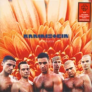 Rammstein - Herzeleid