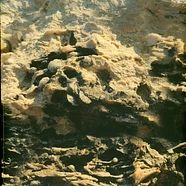 Andrea - Ritorno