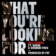 Mastermind Feat. Rakaa & Shomori Pass - What You Are Looking For