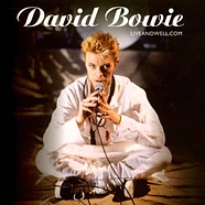 David Bowie - Liveandwell.Com Brilliant Live Adventures Series