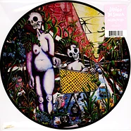 Indigo De Souza - Any Shape You Take Picture Disc