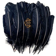 David Eugene Edwards - Hyacinth Black Vinyl Edition