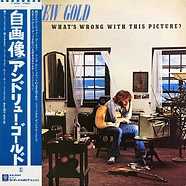 Andrew Gold - What's Wrong With This Picture?