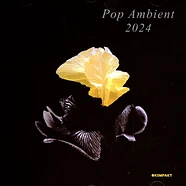 V.A. - Pop Ambient 2024