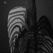 Fire! - Testament Clear Vinyl Edition