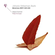 Herreweghe / Collegium Vocale Gent / Johann Sebastian Bach - Motetten Bwv 225-230