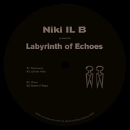 Niki Il B - Labyrinth Of Echoes