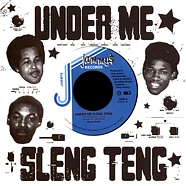 Wayne Smith - Under Me Sleng Teng