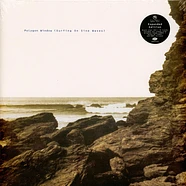 Polygon Window (Aphex Twin) - Surfing On Sine Waves