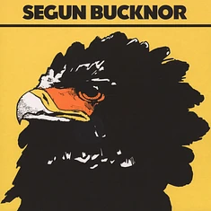 Segun Bucknor - Segun Bucknor