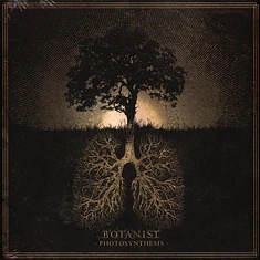 Botanist - Photosynthesis