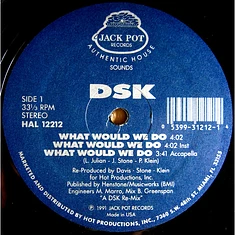 DSK - What Would We Do / Read My Lips