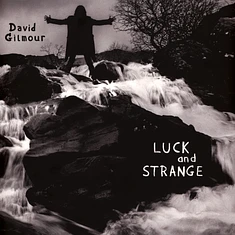 David Gilmour - Luck And Strange