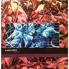 Locust - Skysplit