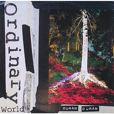 Duran Duran - Ordinary World