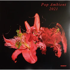 V.A. - Pop Ambient 2021