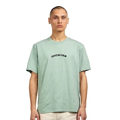 Dickies - Dickies Outdoor SS Tee