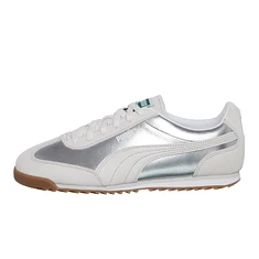 Puma - Arizona Astro Escape