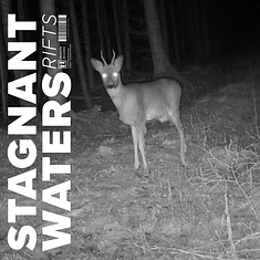 Stagnant Waters - Rifts