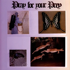 Giovanni Di Domenico, Goncalo Almeida, Balasz Pandi, Giotis Damianidis - Pray For Your Prey