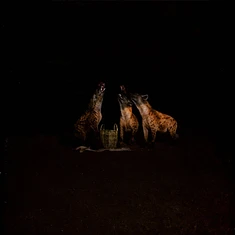 Years Of Denial - Suicide Disco 2024 Repress Edition