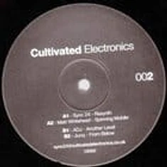 V.A. - Cultivated Electronics EP 002 2025 Repress