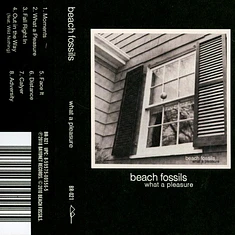 Beach Fossils - What A Pleasure