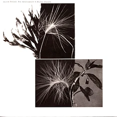 Andrew Pekler - New Environments & Rhythm Studies