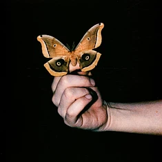 Soulwax - All Systems Are Lying Indie Exclusive Crystal Clear Vinyl Edition