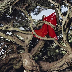 Hannah Frances - Nested In Tangles Ruby Red Vinyl Edition