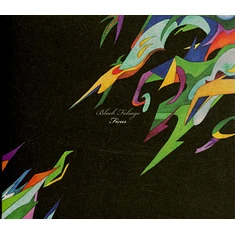 Ficus - Black Foliage