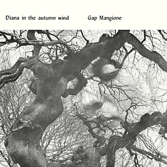 Gap Mangione - Diana In The Autumn Wind