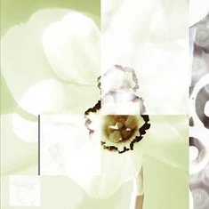 Pablos Eye - Everything You Give Away