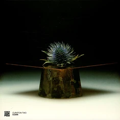 V.A. - Curation Two: D.Dan