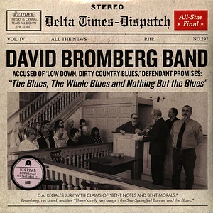 David Bromberg - Blues,Whole Blues And Nothing But The Blues