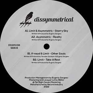 V.A. - Dissymmetrical Vinyl 06