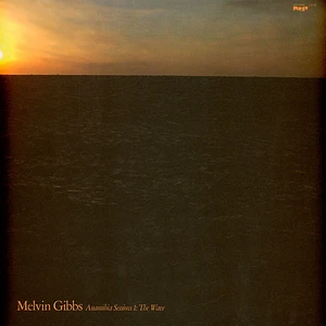 Melvin Gibbs - Anamibia Sessions 1: The Wave