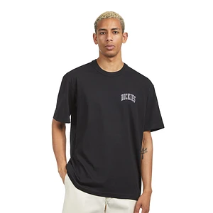 Dickies - Aitkin Chest Tee SS
