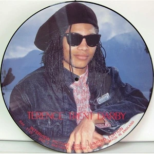 Terence Trent D'Arby - Limited Edition Interview Picture Disc