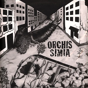 Orchis Simia - Orchis Simia