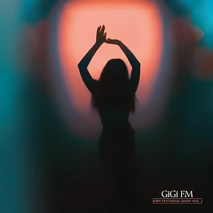 Gigi Fm - Kiwi Synthesis Diary Volume 2